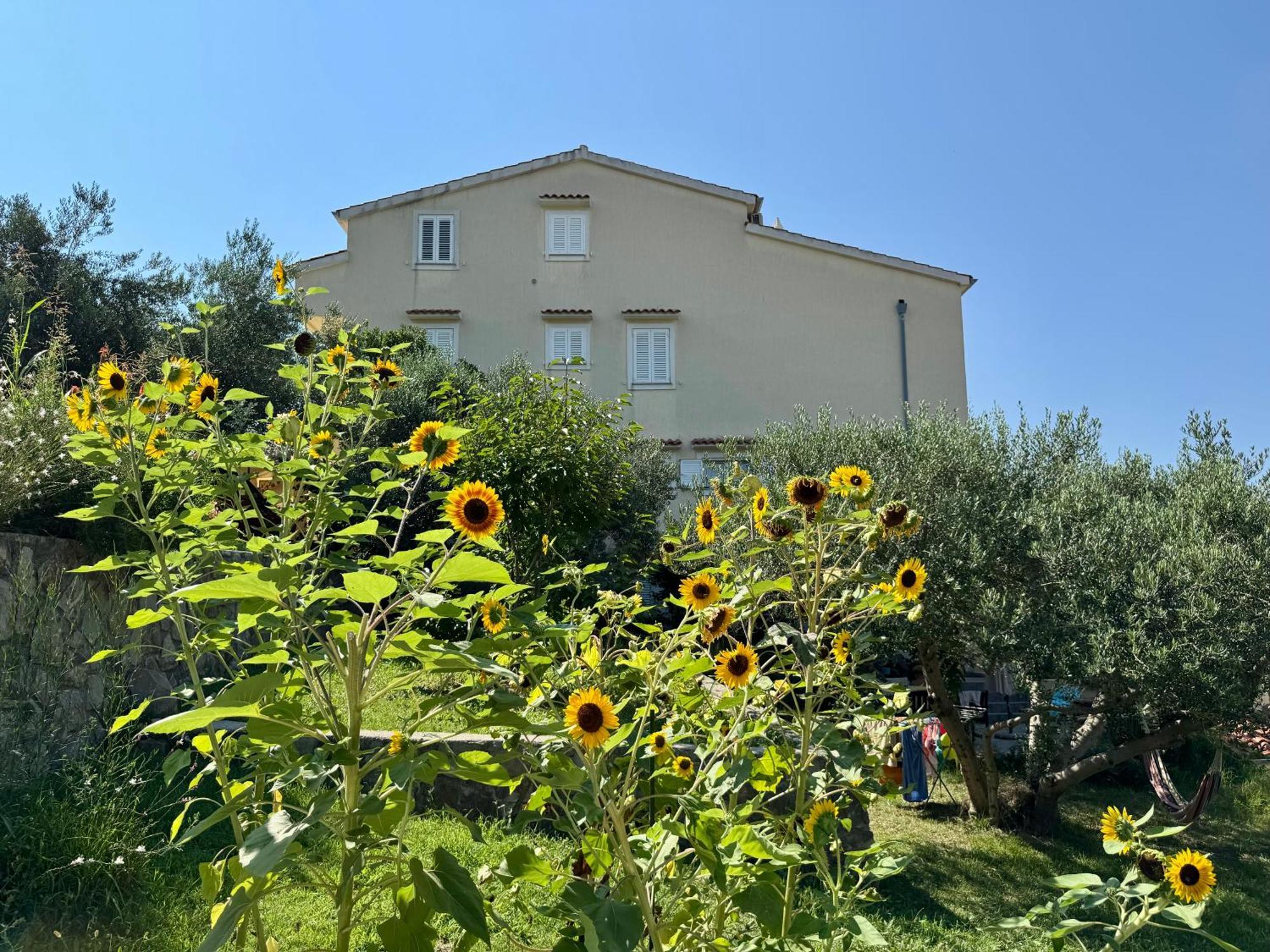 Apartments Maricic Banjol Εξωτερικό φωτογραφία